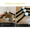 Móc quần áo chụp ảnh nhung sang trọng kèm hoa trà - Giá chỉ 50.000đ 8