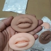 Môi silicone 3D & 5D luyện tập phun xăm - Độ mềm chuẩn, giá chỉ 25.000 VNĐ