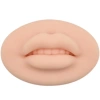 Môi silicone 3D & 5D luyện tập phun xăm - Độ mềm chuẩn, giá chỉ 25.000 VNĐ 6
