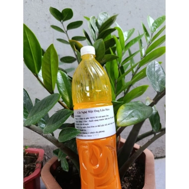 MOLMN Cốt Nghệ Mật - Dầu Gội Dưỡng Tóc Giảm Giá 250k (Giá gốc 307.5k), Dưỡng ẩm, Tăng bóng