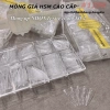 Móng HSM tem vàng lẻ size 0-9 - Giá ưu đãi 150.000đ, chất lượng cao, bền màu 6