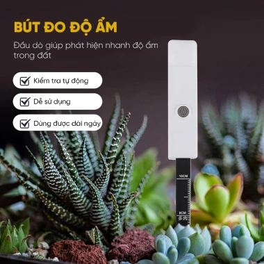 MONQIQI P401 Bút đo độ ẩm đất – Độ chính xác cao, đèn báo thiếu nước, 90.000₫ 3 MONQIQI P401 Bút đo độ ẩm đất – Độ chính xác cao, đèn báo thiếu nước, 90.000₫ 3