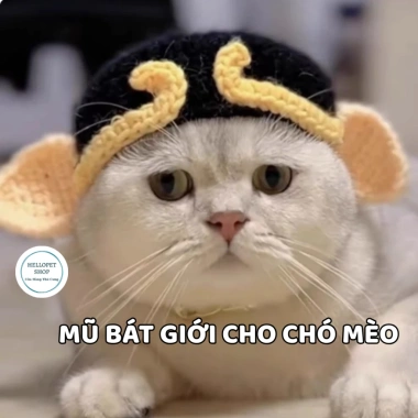 Mũ Bát Giới Len Dễ Thương Cho Chó Mèo - Phụ Kiện Thời Trang Giá Ưu Đãi 54,900 VND