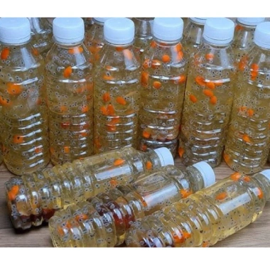 Mủ Chôm hạt chia + đường phèn – Hỗ trợ sức khoẻ, nhiều lần, giảm còn 53.000đ 4