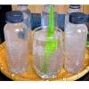 Mủ Chôm hạt chia + đường phèn – Hỗ trợ sức khoẻ, nhiều lần, giảm còn 53.000đ 5
