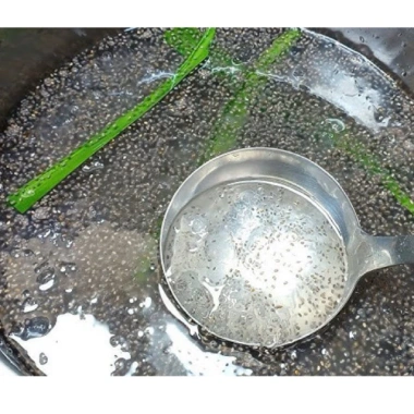 Mủ Chôm hạt chia + đường phèn – Hỗ trợ sức khoẻ, nhiều lần, giảm còn 53.000đ 6