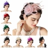 Mũ Đầu Lông Vũ Lưới Retro Sang Trọng Đầm Trang Trọng Biểu Diễn Sân Khấu 2