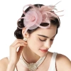 Mũ Đầu Lông Vũ Lưới Retro Sang Trọng Đầm Trang Trọng Biểu Diễn Sân Khấu 10