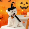Mũ Dệt Kim Halloween cho Thú Cưng: Mũ Đen Hình Bí Ngô Phù Thủy cho Chó Mèo 7