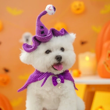 Mũ Dệt Kim Halloween cho Thú Cưng: Mũ Đen Hình Bí Ngô Phù Thủy cho Chó Mèo
