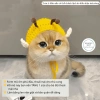 Mũ len cho chó mèo hình ong vàng - Thú cưng cosplay dễ thương, giảm còn 49.000đ 2