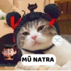 Mũ Natra Ma Đồng cho chó mèo - Mũ len dễ thương hot trend, giảm giá 49k