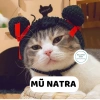 Mũ Natra Ma Đồng cho chó mèo - Mũ len dễ thương hot trend, giảm giá 49k 6