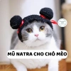Mũ Natra Ma Đồng cho chó mèo - Mũ len dễ thương hot trend, giảm giá 49k 7