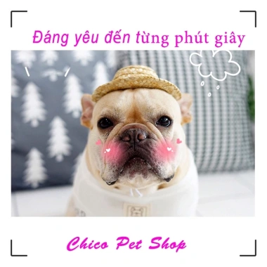 Mũ rơm nón chó mèo rộng vành đáng yêu - giảm giá 20% chỉ 40.000₫ 2