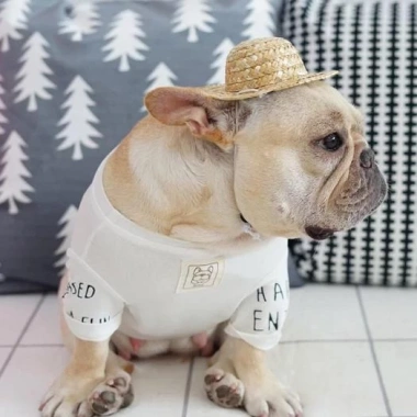Mũ rơm nón chó mèo rộng vành đáng yêu - giảm giá 20% chỉ 40.000₫ 5