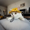 Mũ Xô Thú Cưng Điều Chỉnh Nhỏ Vịt Vàng Bông Tai Mở - Nón Phụ Kiện Thời Trang Cho Chó & Mèo