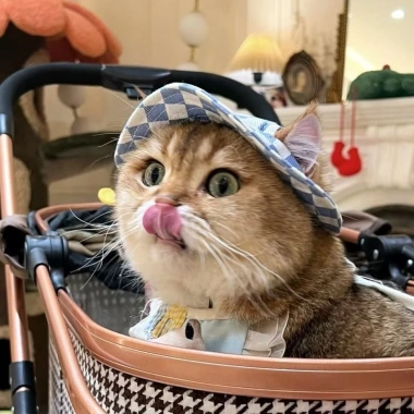 Mũ Xô Thú Cưng Điều Chỉnh Nhỏ Vịt Vàng Bông Tai Mở - Nón Phụ Kiện Thời Trang Cho Chó & Mèo 5