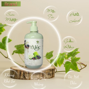 MUA 1 TẶNG 1 Dầu Gội Ngừa Rụng Tóc, Chống Tóc Dầu, Bết - Thành Phần Bưởi, Bồ Kết, Hương Nhu, Dâu Tằm - Giảm Giá 150k 7