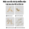 Mua 1 Tặng 1 Gel Diệt Thằn Lằn 35g Hiệu Quả 100% - Thuốc Xua Đuổi Thằn Lằn Giá Ưu Đãi 118.579₫ 6