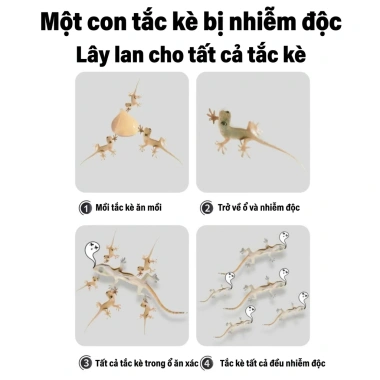 Mua 1 Tặng 1 Gel Diệt Thằn Lằn 35g Hiệu Quả 100% - Thuốc Xua Đuổi Thằn Lằn Giá Ưu Đãi 118.579₫ 6