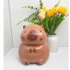 Mua 1 Tặng 1 Heo Đất Chuột Lang Capybara Size TO Cute - Trang Trí và Quà Tặng Lucky 03