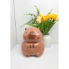 Mua 1 Tặng 1 Heo Đất Chuột Lang Capybara Size TO Cute - Trang Trí và Quà Tặng Lucky 03 10