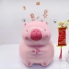 Mua 1 tặng 1 Heo Đất Tiết Kiệm Capybara, Heo Mũ Ếch Đáng Yêu, Ống Trang Trí 5