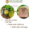 Mua 1 Tặng 1 Siro Ho Thảo Mộc Húng Chanh Thanh Tùng - Giá chỉ 189.000đ 6