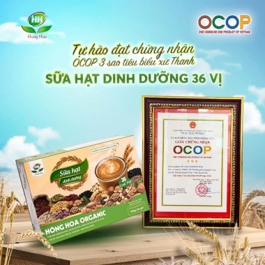 Mua 1 Tặng 2 Quà - Sữa Hạt 36 Vị Hồng Hoa Organic Không Đường, Hỗ Trợ Sức Khỏe, Thay Thế Bữa Ăn