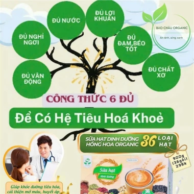 Mua 1 Tặng 2 Quà - Sữa Hạt 36 Vị Hồng Hoa Organic Không Đường, Hỗ Trợ Sức Khỏe, Thay Thế Bữa Ăn