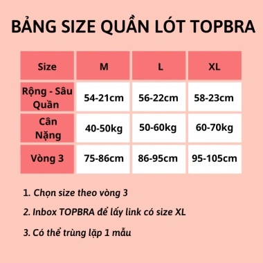 Mua 10 tặng 10 lì xì Combo 5-10 Quần Lót Nữ Su Lụa Cao Cấp Tàng Hình Viền Ren Không Lộ Vân Thoáng Mát TOPBRA