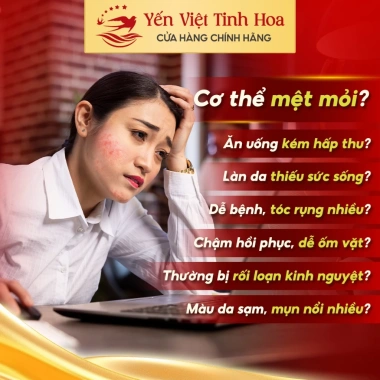 Mua 2 Tặng 1 Set 10 Hộp Yến Chưng Sẵn Không Đường 35% 70ml - Quà Tết Yến Việt Tinh Hoa 599k 2