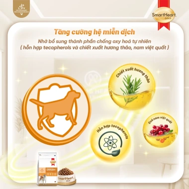 Mua 2 tặng 1 Thức ăn hạt SMARTHEART GOLD cho chó bệnh đường tiết niệu sỏi Struvite 1,5kg 392.350₫ 6