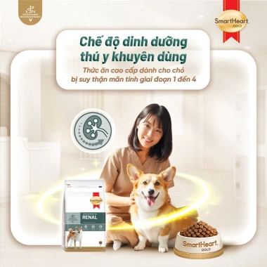 Mua 2 tặng 1 Thức ăn hạt SMARTHEART GOLD cho chó suy thận giai đoạn 1‑4, 1.5kg - Giá ưu đãi 416,100₫ 2