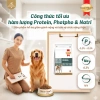 Mua 2 tặng 1 Thức ăn hạt SMARTHEART GOLD cho chó suy thận giai đoạn 1‑4, 1.5kg - Giá ưu đãi 416,100₫ 3
