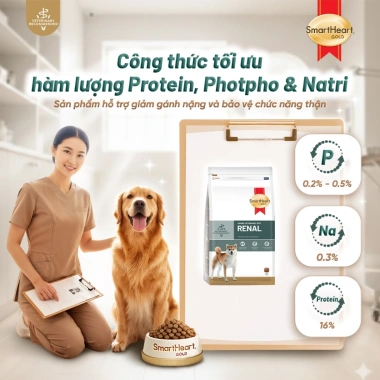 Mua 2 tặng 1 Thức ăn hạt SMARTHEART GOLD cho chó suy thận giai đoạn 1‑4, 1.5kg - Giá ưu đãi 416,100₫ 3