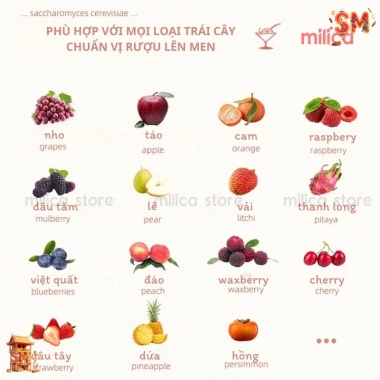 Mua 3 Tặng 2 Men Rượu Hoa Quả 15kg - Men ủ Nho, Cam, Táo, Dâu - Giá 100.000đ 2
