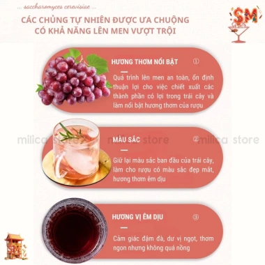 Mua 3 Tặng 2 Men Rượu Hoa Quả 15kg - Men ủ Nho, Cam, Táo, Dâu - Giá 100.000đ 3