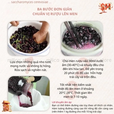 Mua 3 Tặng 2 Men Rượu Hoa Quả 15kg - Men ủ Nho, Cam, Táo, Dâu - Giá 100.000đ 5