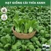 Mua 5 Tặng 1 Hạt Giống Nhân Sâm Ngọc Linh – 198,090₫, Tăng Năng Lượng Tự Nhiên 6