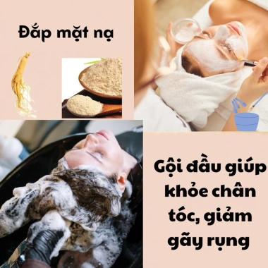 Mua 5 tặng 1 Nhân Sâm Nguyên Củ 100mg Có Hoa - Nhân Sâm Núi Trường Bạch ưu đãi