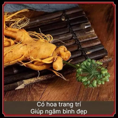 Mua 5 tặng 1 Nhân Sâm Nguyên Củ 150g Núi Trường Bạch – Giảm giá 20% chỉ 84.000₫ 8