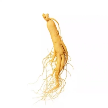 Mua 5 tặng 1 Nhân Sâm Núi Trường Bach 50g - Củ Nhỏ cho Canh, Hầm Gà 30.000₫