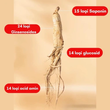 Mua 5 tặng 1 Nhân Sâm Núi Trường Bach 50g - Củ Nhỏ cho Canh, Hầm Gà 30.000₫