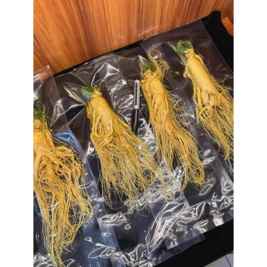 Mua 5 Tặng 1 Nhân Sâm Tươi Núi Trường Bạch 250g + Củ 50g - Dùng Ngâm Rượu, Không Hoa, Giá Ưu Đãi 212.000₫ 6