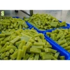 Mùi Già Sinh Dược Set Quà Tết - Giá chỉ 45k, Bổ sung năng lượng, Tăng sức đề kháng, Quà sức khỏe cho gia đình 4