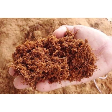 Mụn Xơ Dừa 1kg - Xơ dừa sơ chế dùng trồng cây, giá chỉ 18.000đ, chất lượng cao 2