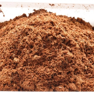 Mụn Xơ Dừa 1kg - Xơ dừa sơ chế dùng trồng cây, giá chỉ 18.000đ, chất lượng cao 6