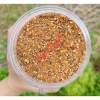 Muối Tiêu Ớt Tây Ninh Đặc Biệt Rang Củi, Không Tỏi - Vị Chay & Mặn, Chỉ 25.000₫